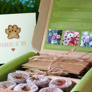 Op de afbeelding: Een bruine kartonnen geschenkdoos met ronde bruine grondtabletten, een stapel enveloppen vastgebonden met touw en een instructieblad voor bloemzaden. Een aparte kaart bevat een houten pootafdruk en de tekst Thinking of You.