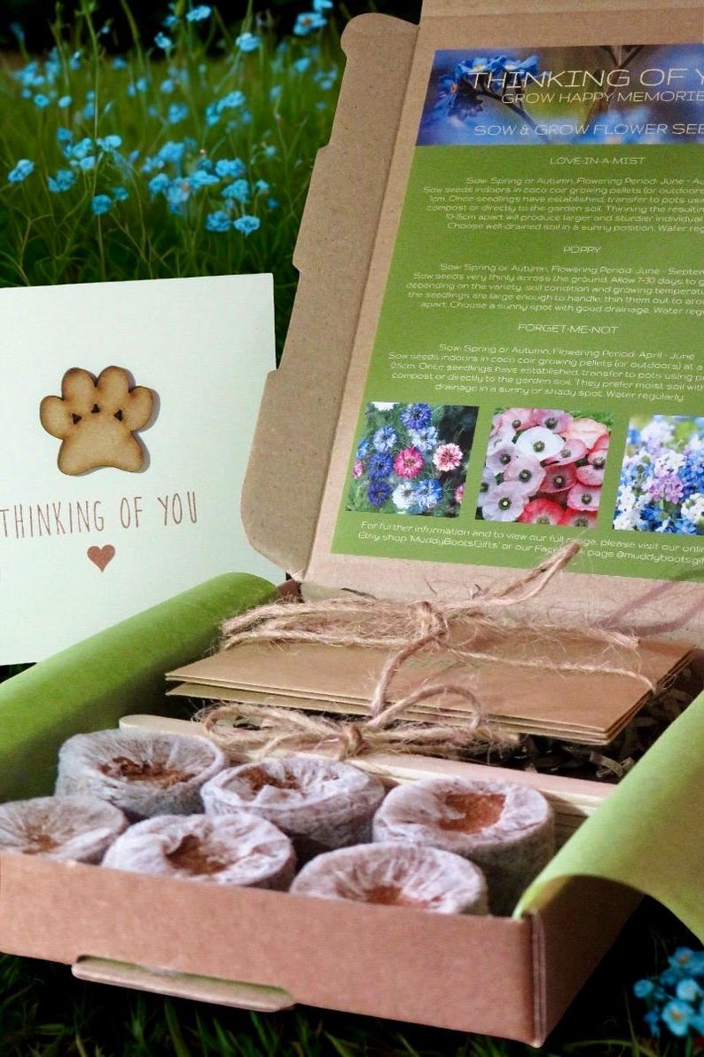 Op de afbeelding: Een bruine kartonnen geschenkdoos met ronde bruine grondtabletten, een stapel enveloppen vastgebonden met touw en een instructieblad voor bloemzaden. Een aparte kaart bevat een houten pootafdruk en de tekst Thinking of You.