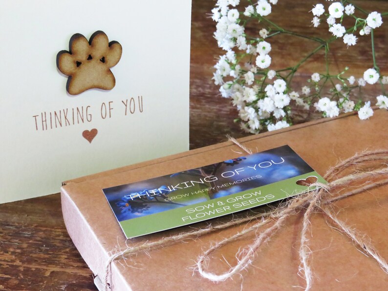 Pet Sympathy Gift Box, Dog Loss Gifts, Cat Loss Gifts, Pet Memorial Gifts, Pet Loss Gifts, Thinking of You Gift, Pet Memorial Seed Gift Box afbeelding 3