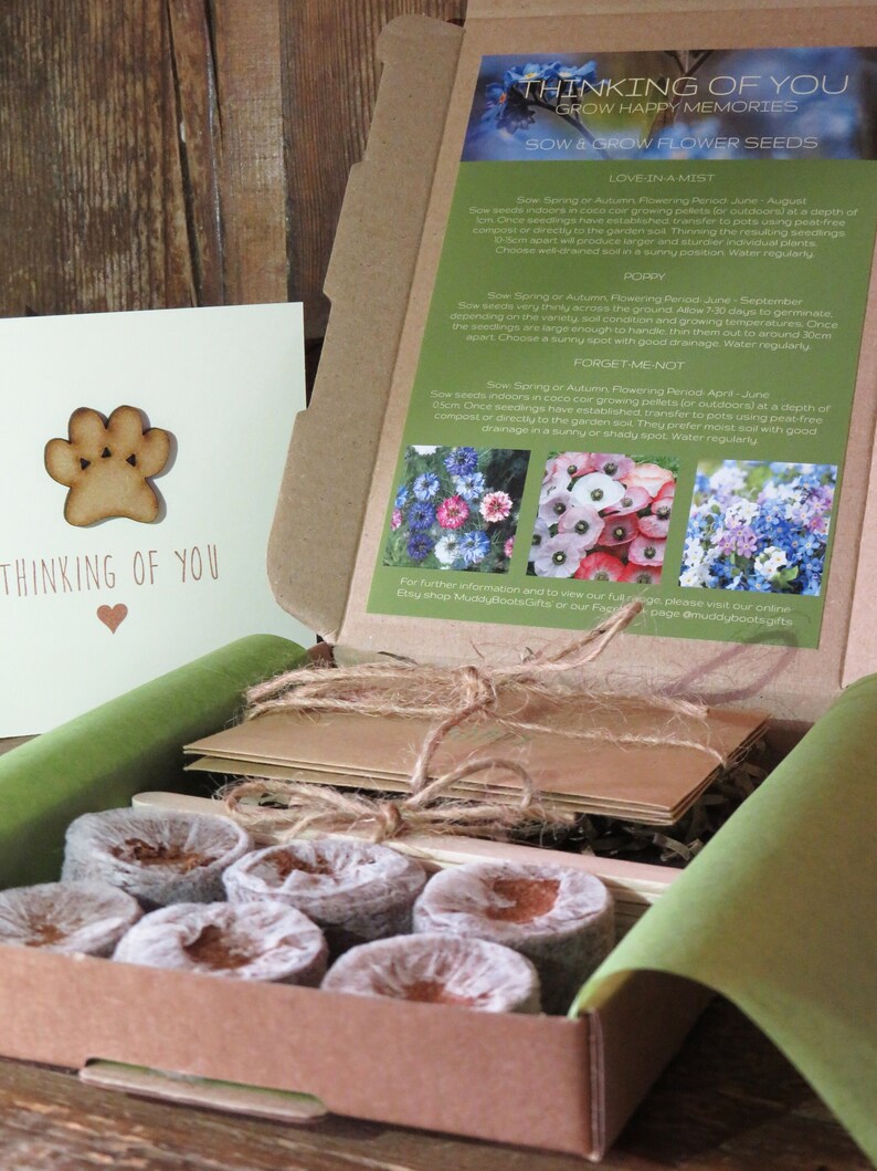 Op de afbeelding: Een kartonnen geschenkdoos met zes ronde kokosvezel tabletten, een stapel bruine papieren zaadzakjes vastgebonden met touw, en een instructiekaart met de titel Thinking of You Grow Happy Memories. Een bijpassende kaart met een houten pootafdruk is inbegrepen.