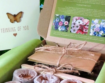 Sympathy Gift Box, Sympathy Seeds, Sympathy Seed Gift Box, Thinking of You Gift, Sympathy Card, Thinking of You Box, Bereavement Gift