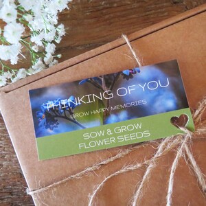 Op de afbeelding: Een bruine kartonnen doos omwikkeld met touw met een rechthoekig label met blauwe vergeet-mij-nietjes en de tekst THINKING OF YOU, GROW HAPPY MEMORIES, en SOW & GROW FLOWER SEEDS. Een kleine hartvormige uitsparing is zichtbaar op het label.