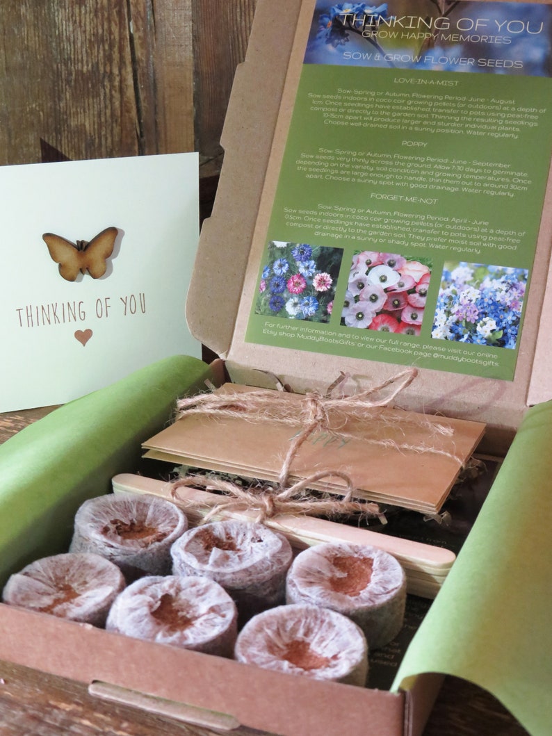 Sympathy Gift Box Sympathy Seeds Sympathy Seed Gift Box Etsy UK