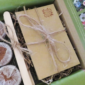 Op de afbeelding: Een kartonnen geschenkdoos met diverse ronde, in wit gaas gewikkelde, samengeperste grondschijven, een houten plantenlabel en een rechthoekig bruin papieren pakketje vastgebonden met natuurlijk touw, voorzien van een kleine bloemenstempel.
