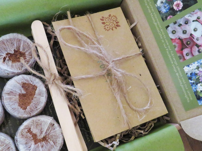 Op de afbeelding: Een kartonnen geschenkdoos met diverse ronde, in wit gaas gewikkelde, samengeperste grondschijven, een houten plantenlabel en een rechthoekig bruin papieren pakketje vastgebonden met natuurlijk touw, voorzien van een kleine bloemenstempel.