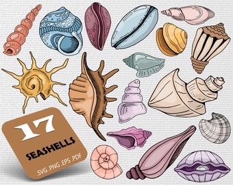 Seashell SVG Bundle, Sea Shell svg,Sea svg,Seashell png,Seashell eps,Seashell vector,Seashell files,Seashell svg,Sea world svg,print file