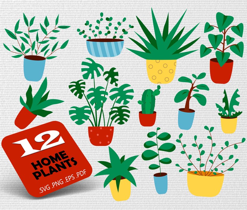 House Plants Svgplant Svg Plant Clipart Plant Svg Potted Etsy