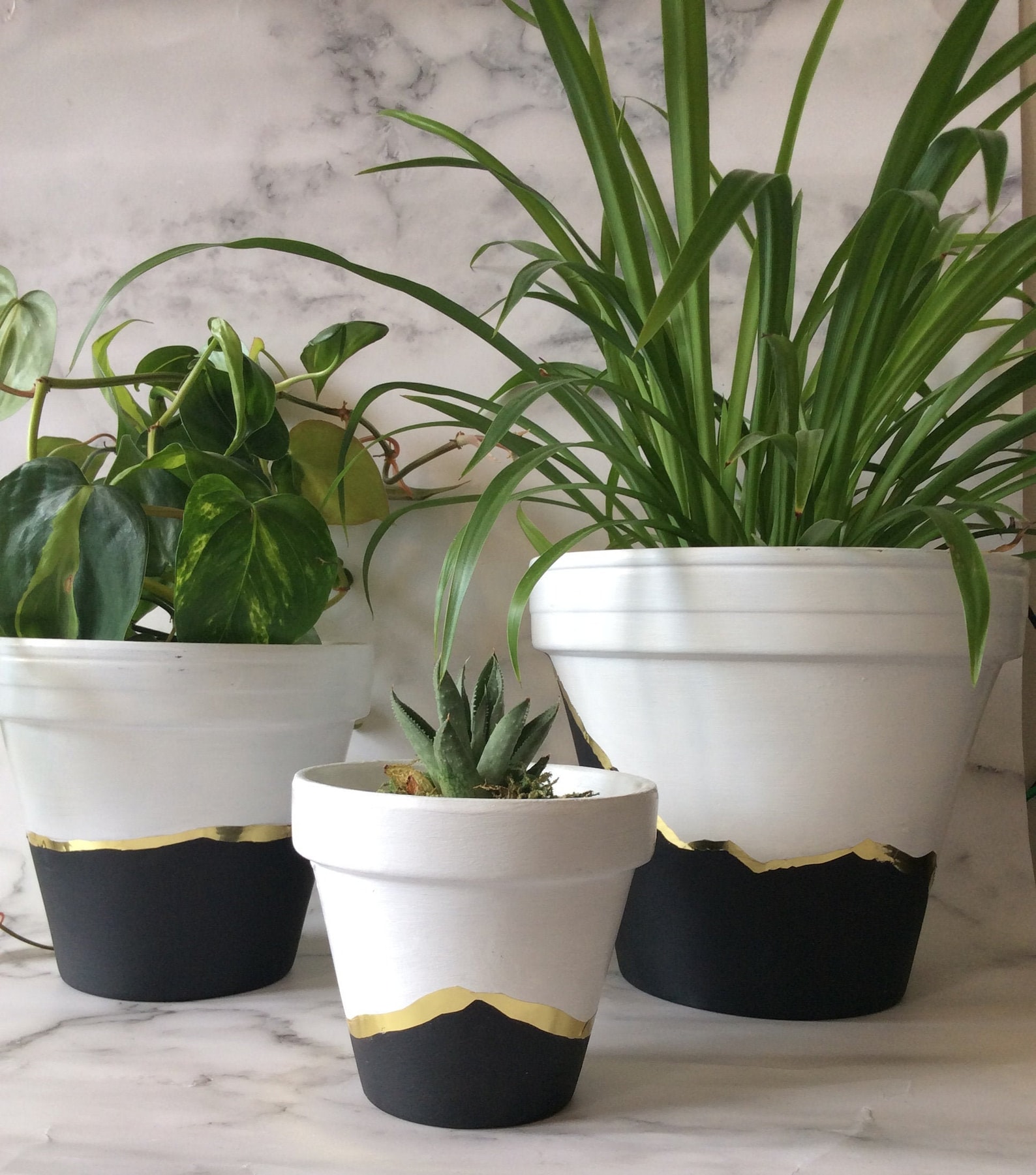 Black & White hand painted Pot/Planter comes with saucers as Etsy