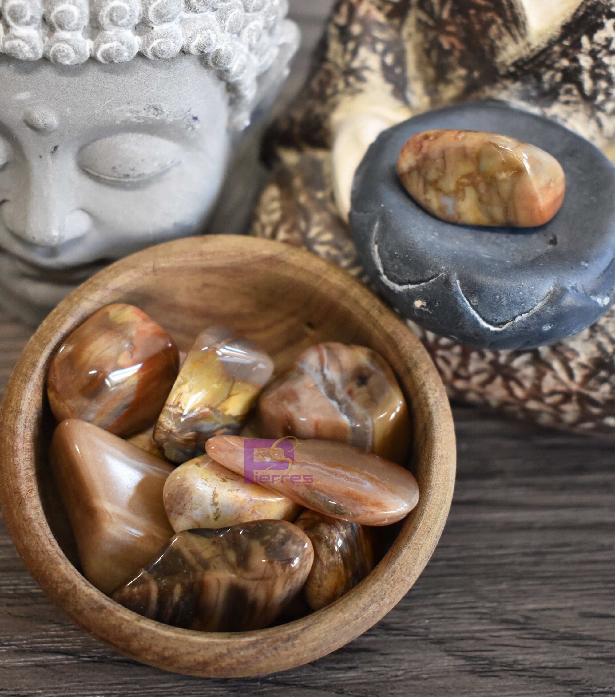 Bois Fossile - Lithothérapie Pierre Roulée 20 à 25 mm Qualité A Origine États-Unis