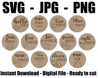 Baby Milestone Woodland Cut File - Baby Milestone Woodland SVG - Baby Milestone JPG - Baby Milestone PNG - Cricut, Silhouette, Laser Ready
