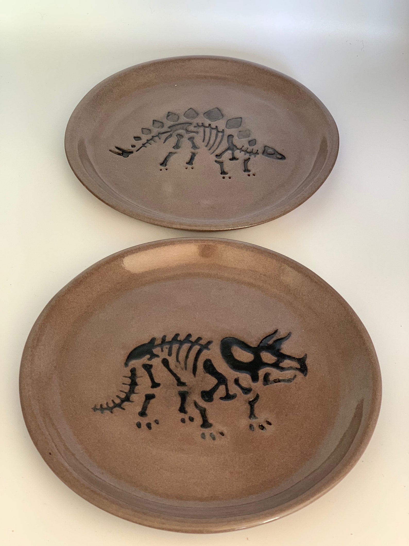 dinosaur with a plate on its back