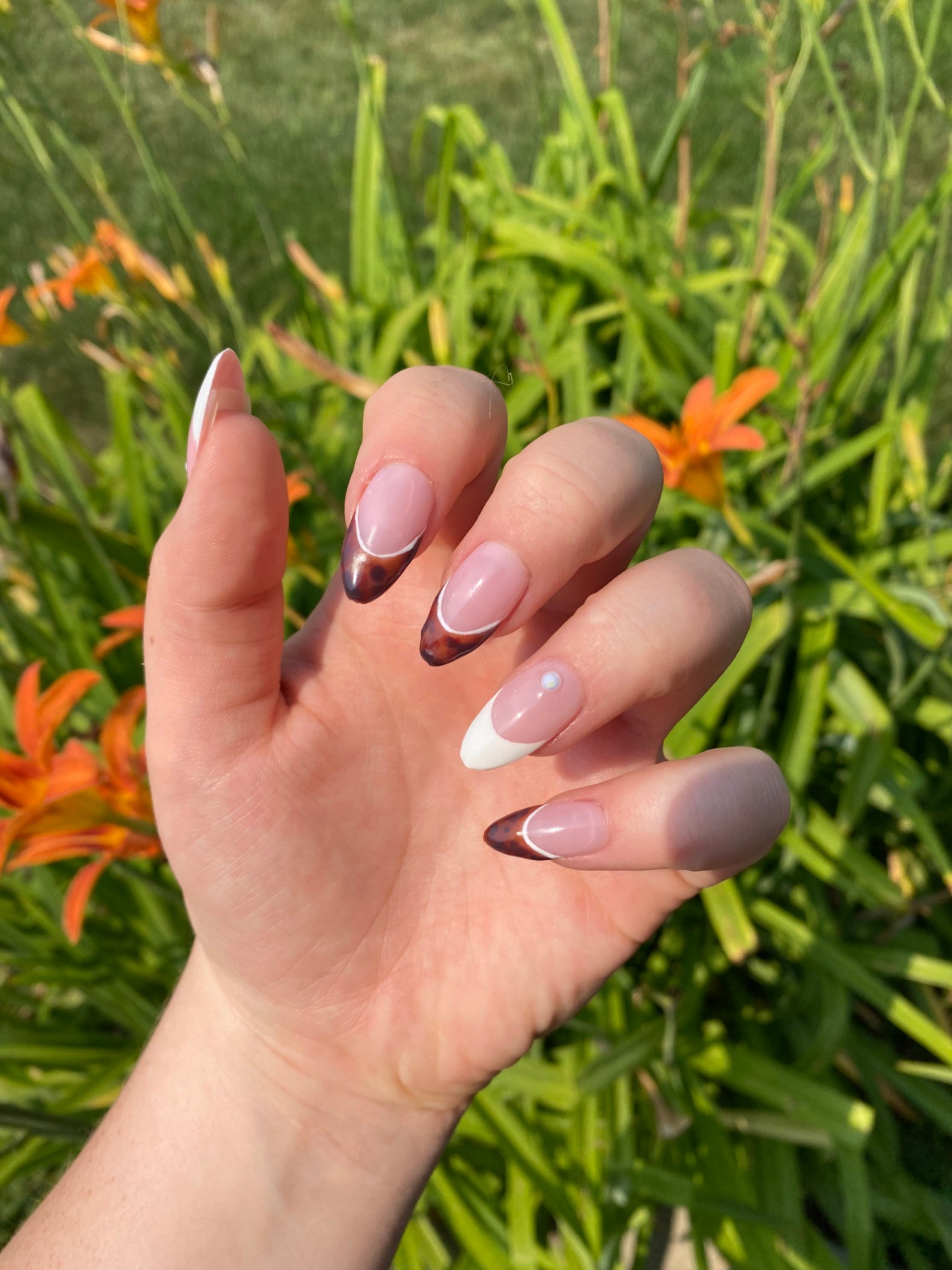 Tortoise shell French tip press on nails | Etsy