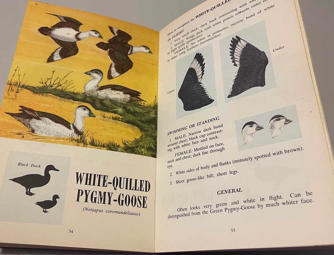 goose goose duck redeem code