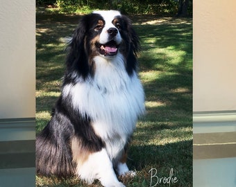 Custom Metal Photo Pet Portrait with Name and Stand | Personalized Aluminum Print