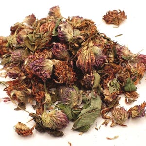 Trébol rojo orgánico, hojas secas cortadas ~ Trifolium Pratense