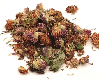Organic Red Clover, Tops Cut Dried ~ Trifolium Pratense