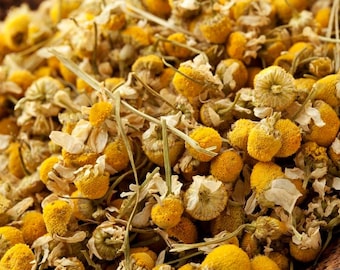 Chamomile Flowers, Wildcrafted ~ Matricaria Recutita