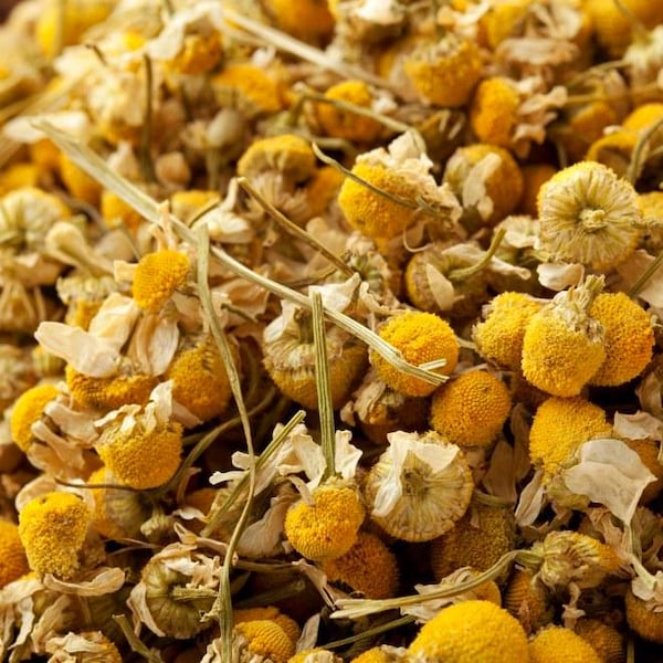 Flores de manzanilla silvestres ~ Matricaria Recutita