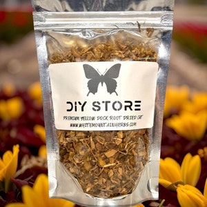 Yellow Dock Wild Crafted Root Dried Cut ~ Rumex Crispus