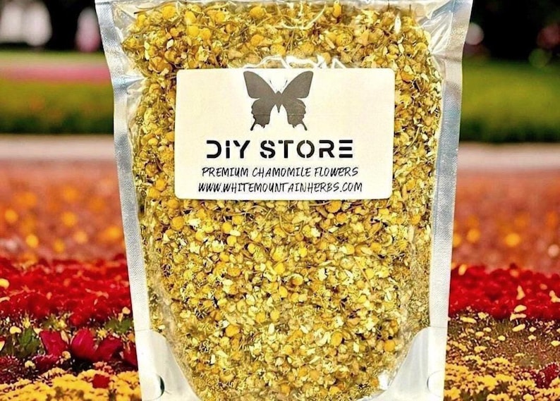 Chamomile Flowers, Wildcrafted ~ Matricaria Recutita image 1