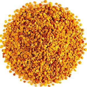 May include: A circular pile of bee pollen granules, featuring a dense collection of small, irregular, and textured particles in various shades of vibrant golden yellow, deep orange, and occasional dark brown, arranged in a loose, organic cluster.