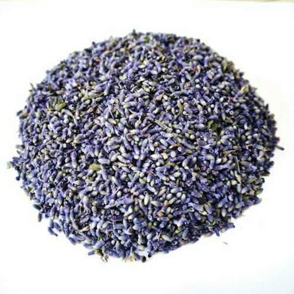Lavender French Flower Premium Buds Dried Wedding Flowers ~ Lavandula x Intermedia