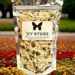 Chrysanthemum Flower Wild Crafted Whole Dried ~ Chrysanthemum Morifolium