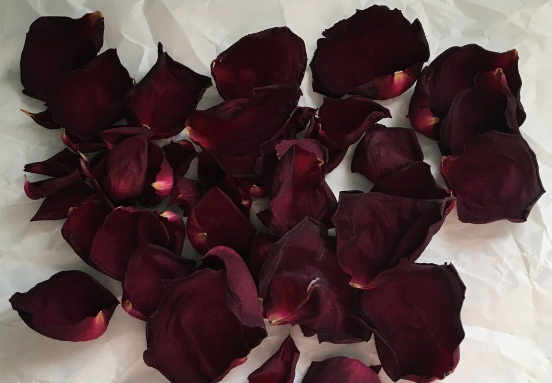 Rose Petals Burgundy Wedding Flower Fragrant Exquisite Rose Water Petal