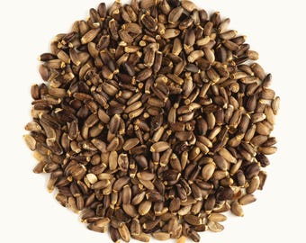 Organic Milk Thistle Seeds ~ Silybum Marianum