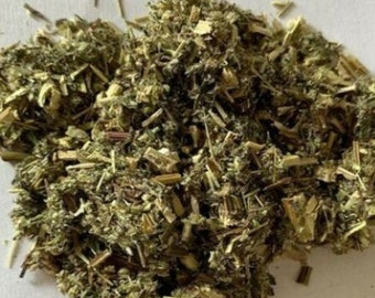 Mugwort Herb Wild Crafted Dried Cut Premium ~ Artemisia Vulgaris