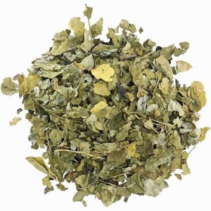 Organic Moringa Leaf Dried Cut ~ Moringa Oleifera