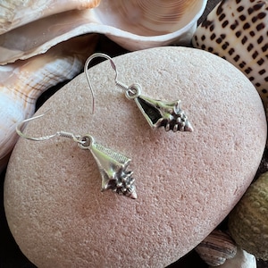 Può includere: Un paio di orecchini a forma di conchiglia in argento con chiusura a gancio. Gli orecchini sono esposti su una pietra marrone chiaro, circondati da conchiglie. Un accessorio unico.