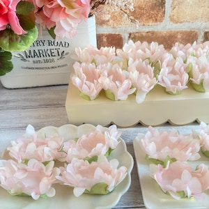 May include: Pink paper flower cupcake wrappers arranged on two white plates. The plates are on a white wooden surface. The wrappers are made of delicate paper and have a ruffled edge. The flowers are a light pink color and have a green center.