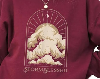 Felpa Stormlight Archive / Maglietta Kaladin Stormblessed / Girocollo Fantasy Bookish / Regalo per i fan di Cosmere / Colori Comfort
