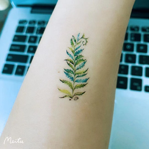 2pcs Small Fern Temporary Tattoo / Herbal Tattoo / Small Leaf - Etsy Australia 2pcs Small Fern Temporary Tattoo / Herbal Tattoo / Small Leaf - Etsy Australia