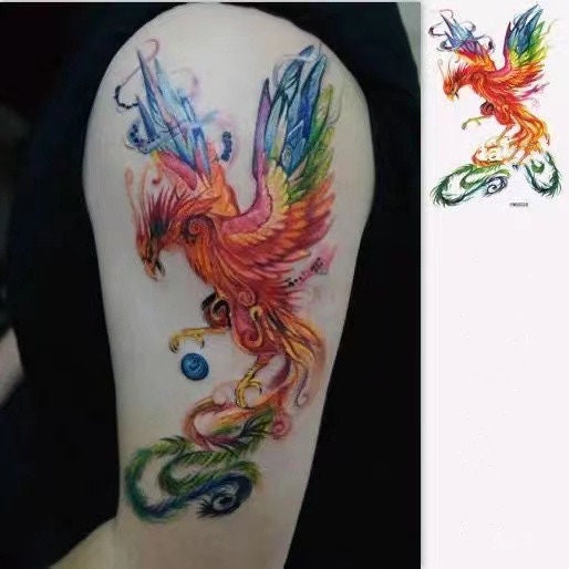 Phoenix bird tattoo Stock Vector Image  Art  Alamy