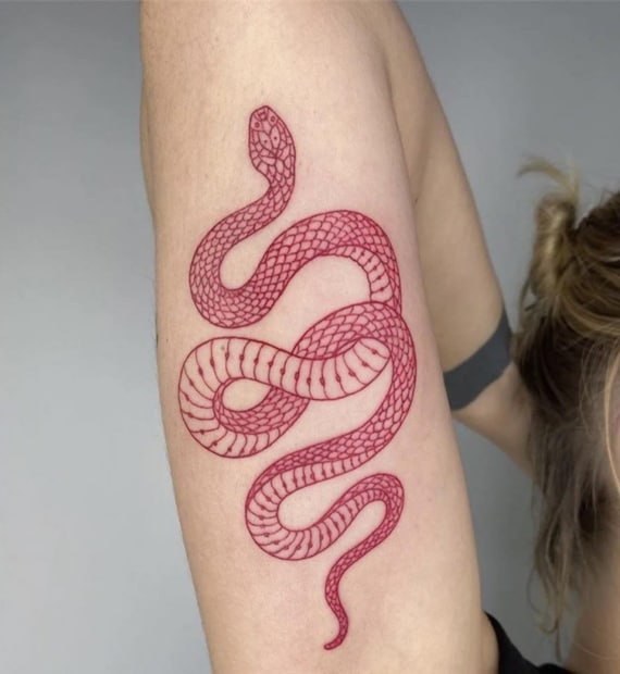 Slang tattoo / rode slang tijdelijke tattoo / rode | Etsy België
