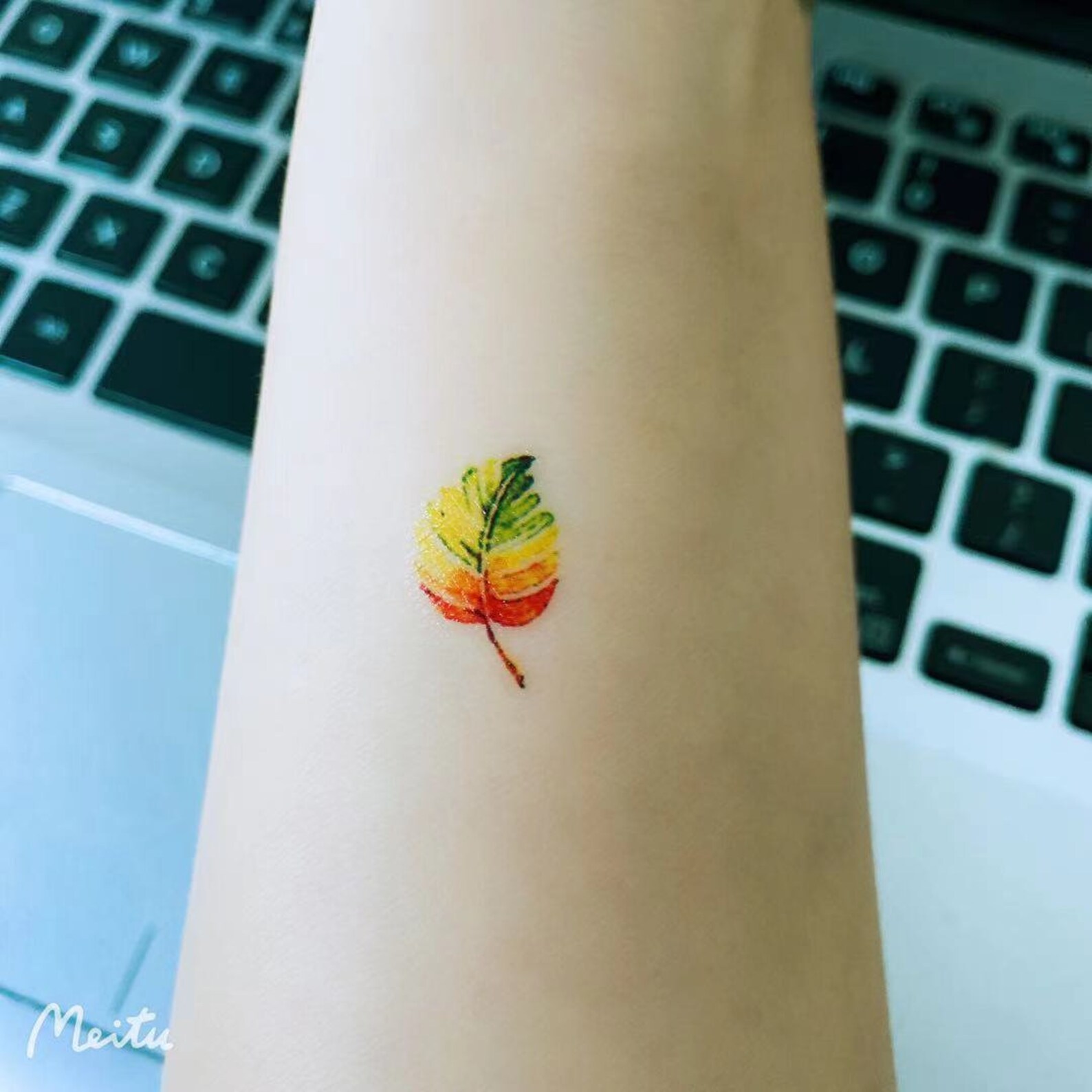 2Stk farn temporary tattoo / kräuter tattoo / kleines Blatt Etsy