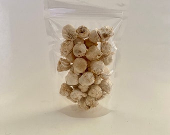 Freeze Dried Vegan Salted Caramel Cluster Ice Cream Crunch Bites - Amazing Flavor - Free Shipping - Same day Shipping