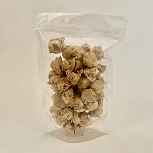 Freeze Dried VEGAN S'mores Ice Cream Crunch Bites - Free Shipping