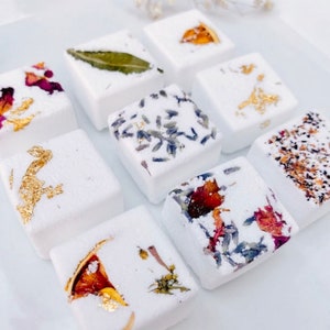 Aromatherapy Shower Steamers Set: Essential Oils, Spa Gift, Set of 9, 9 scents