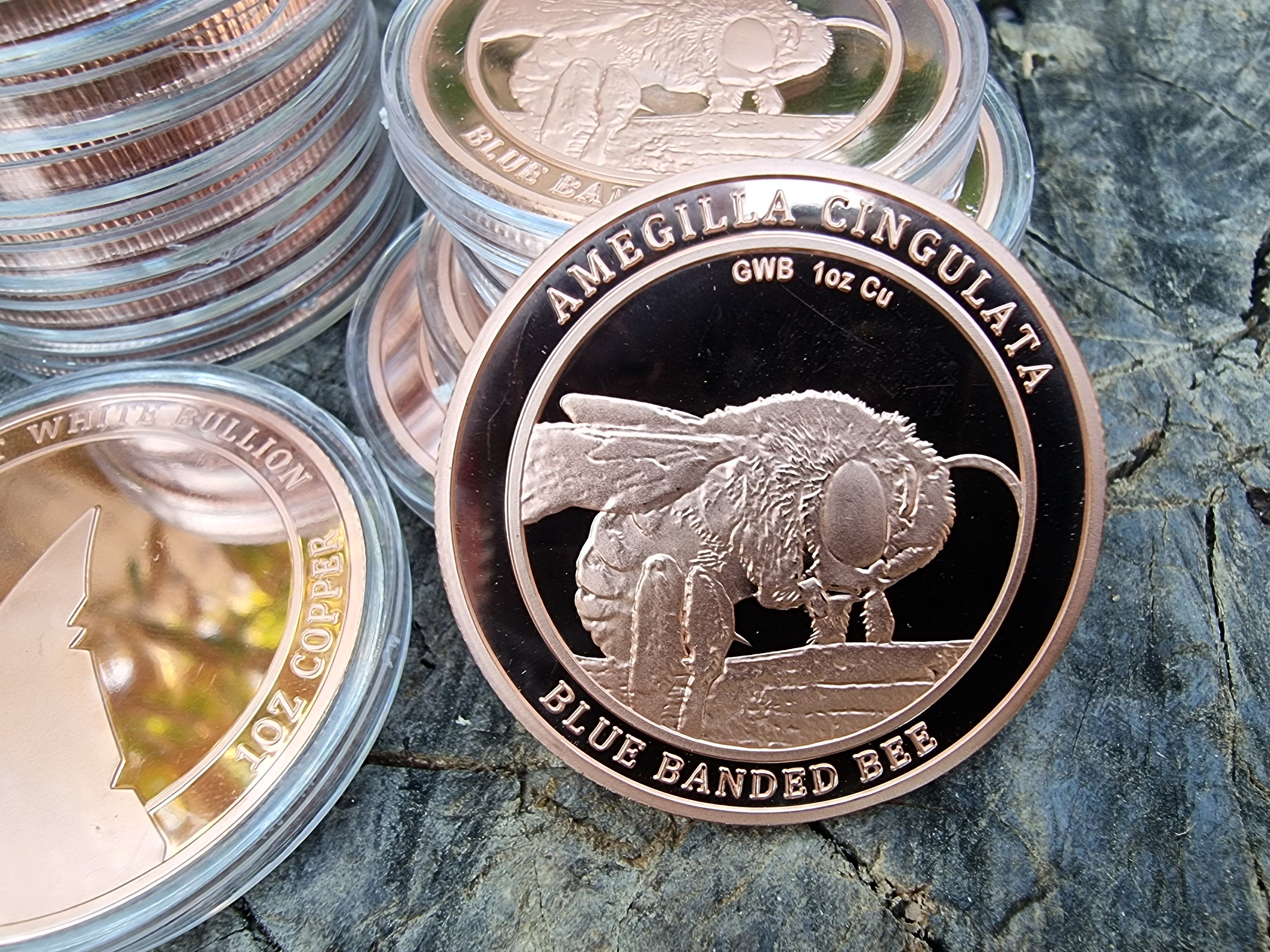 1 Ounce Copper Round - Australian Blue Banded Bee - Amegilla Cingulata -  Etsy