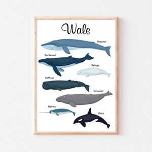 Póster ballenas habitación infantil habitación bebé mural criaturas marinas imagen A4 A3
