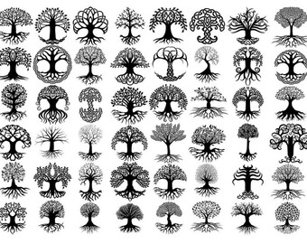 Download Tree Of Life Svg Etsy