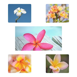 Mousepads Mousemats for computer use Made in Australia in five different designs