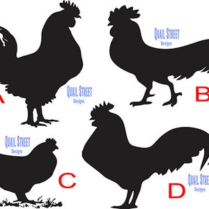 Chickens Rooster Hen - 4 Views To Choose - Get All 4!!  - Vinyl Decal - Farmhouse, Farm, Barnyard, Poultry - Free Shipping - 13