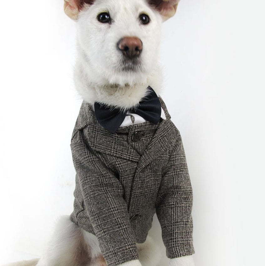 Mops Hund Kostüm Hochzeit Hund Outfit Hochzeit Hund Tuxedo Etsy