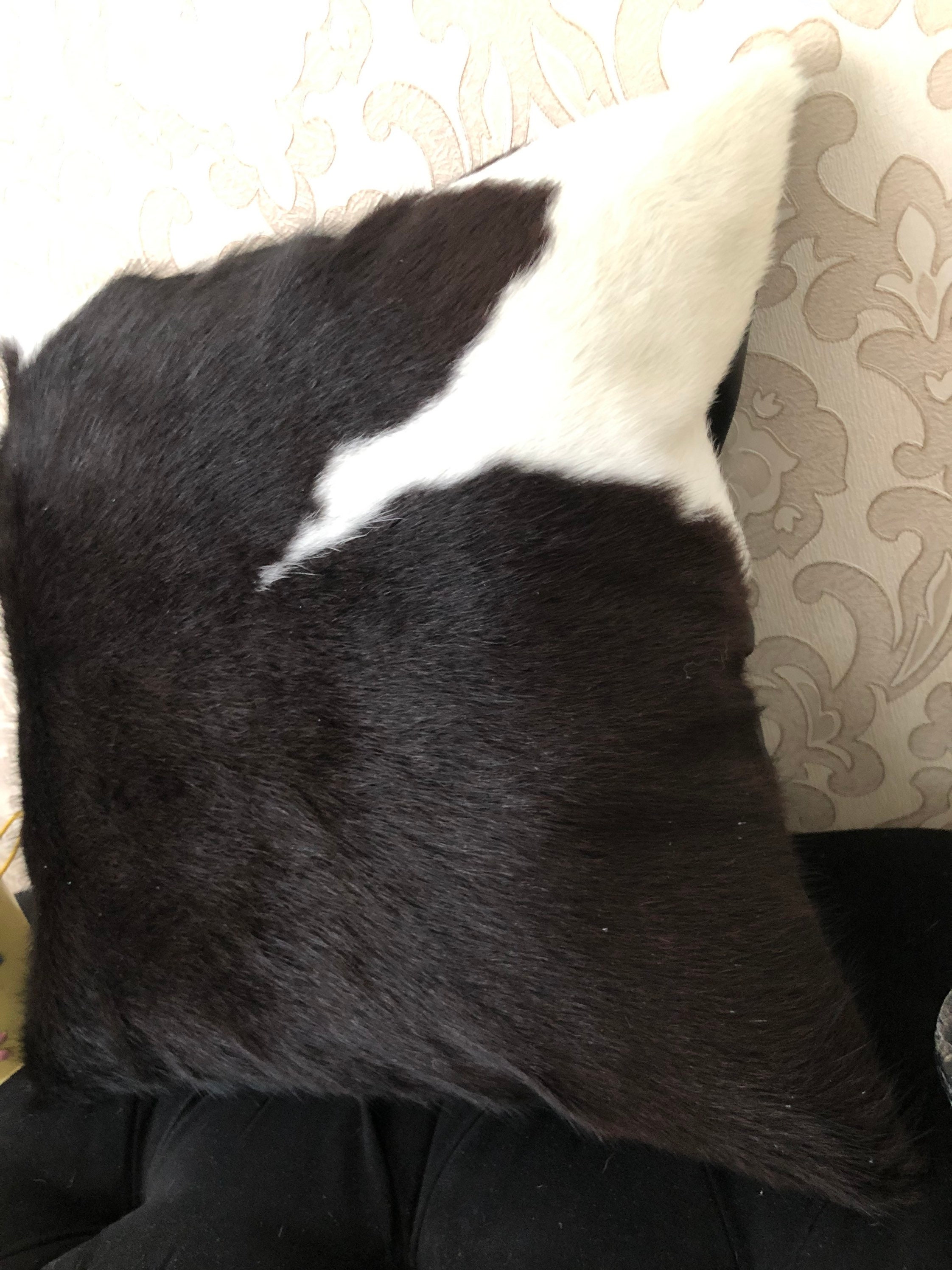 Cowhide Pillow Covers 100 Natural Cowhide Luxurious Hair On Etsy