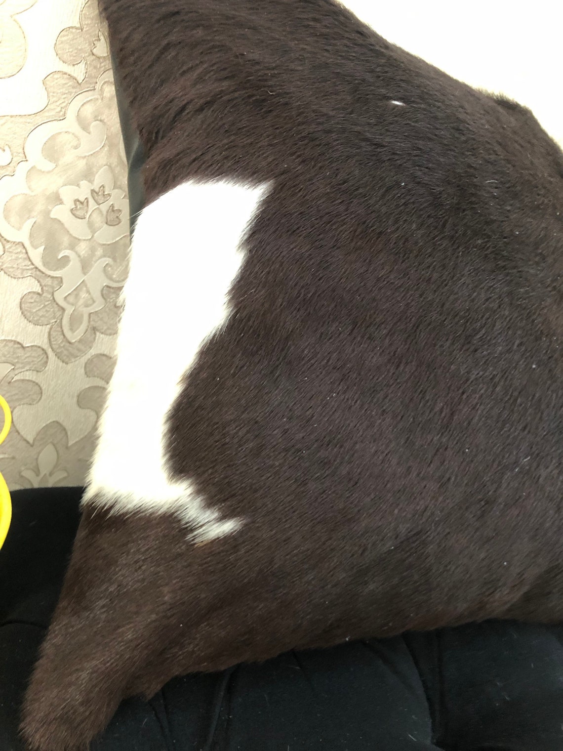Cowhide Pillow Covers 100 Natural Cowhide Luxurious Hair On Etsy