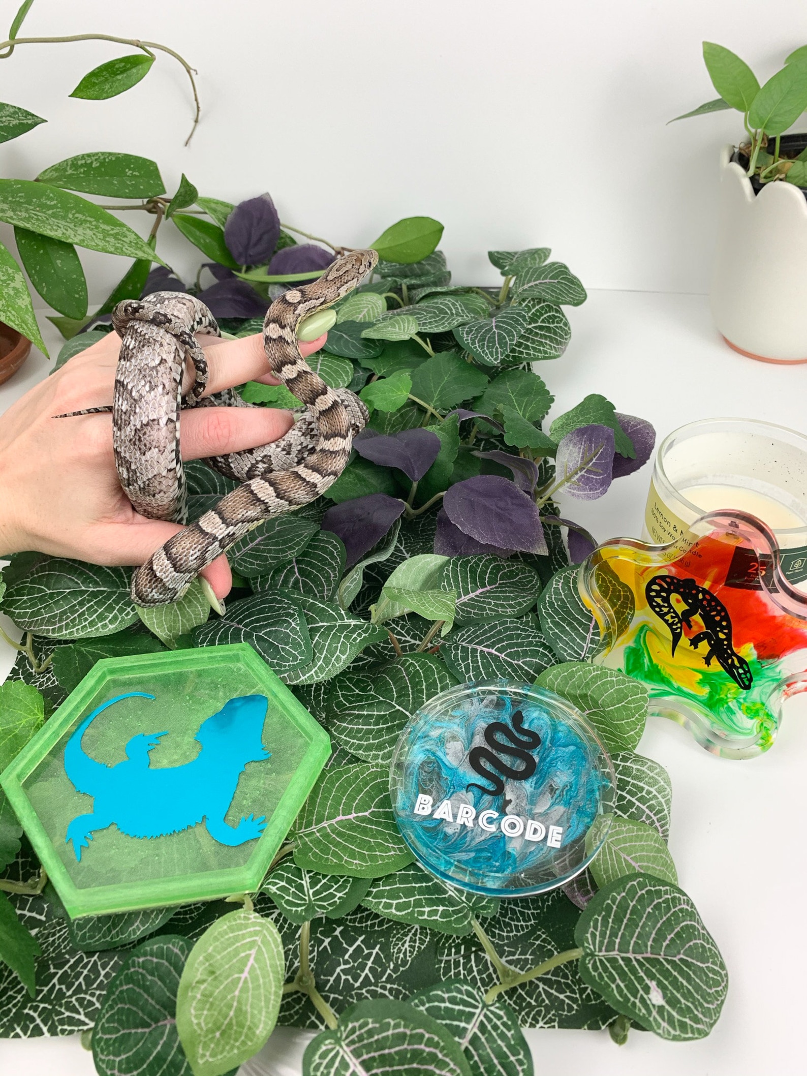 Reptile Snake Food Dish Custom Name Etsy